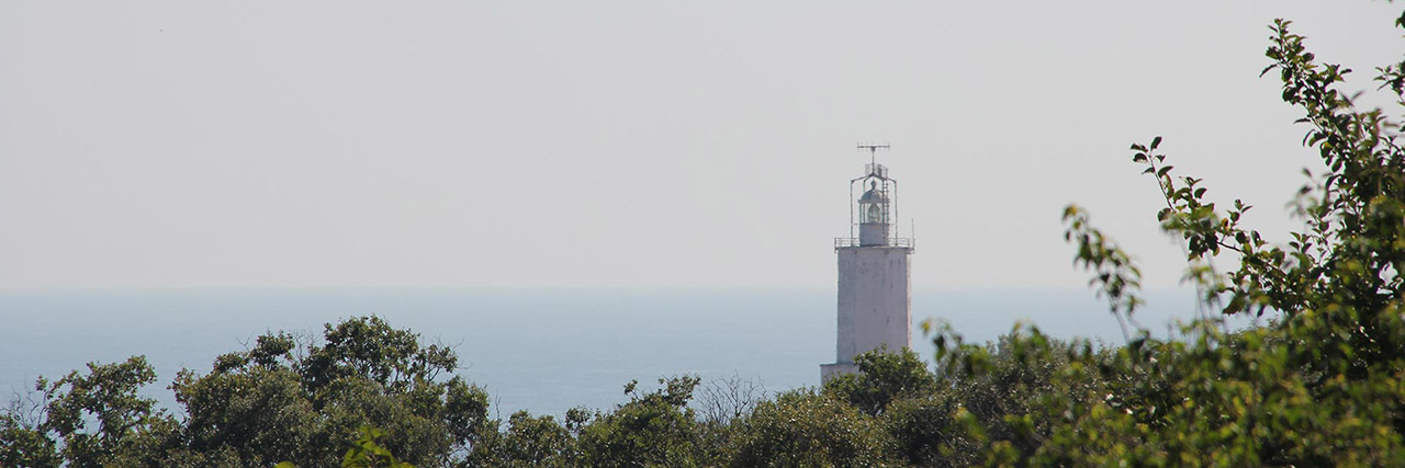 Doğanın Kalbinde Unutulmaz Anılar Biriktirin! Doğanın Kalbinde Unutulmaz Anılar Biriktirin!