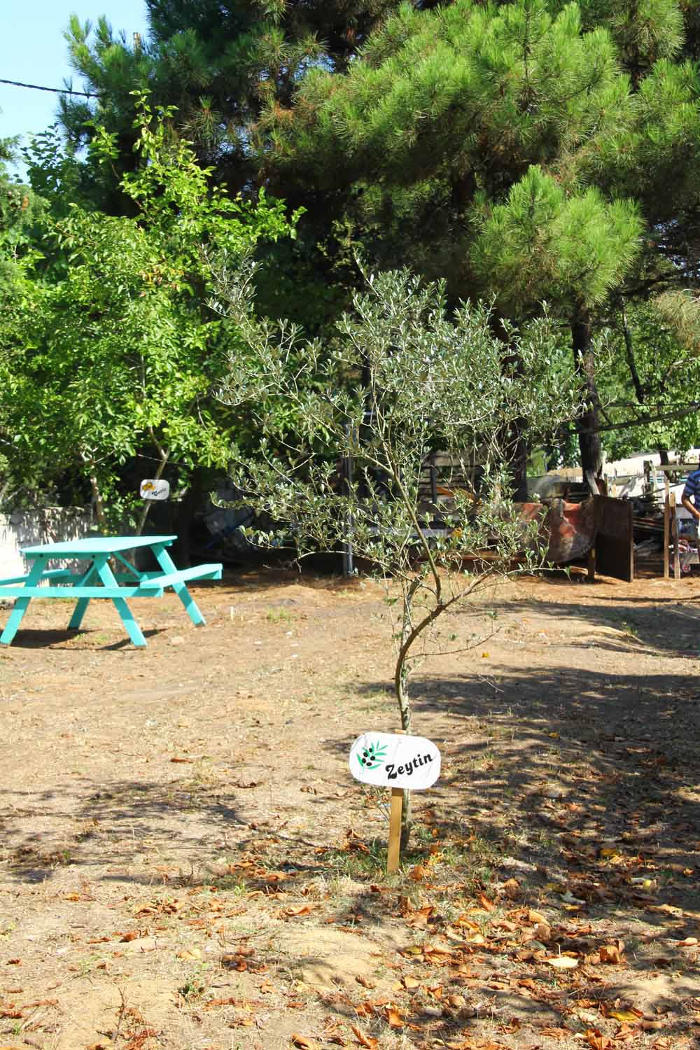 Giritli Çiftliği Giritli Çiftliği