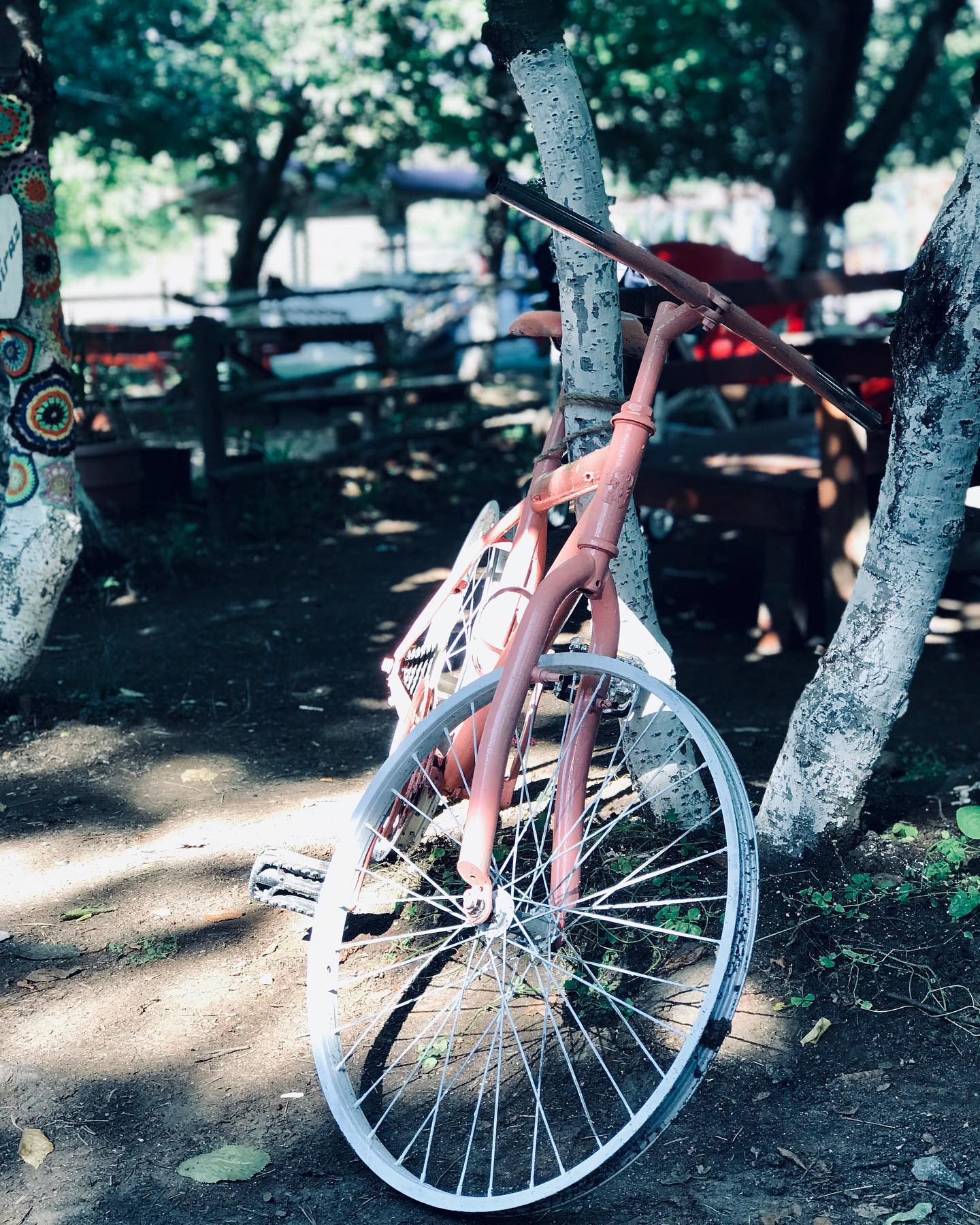 Bisiklet Turları Bisiklet Turları