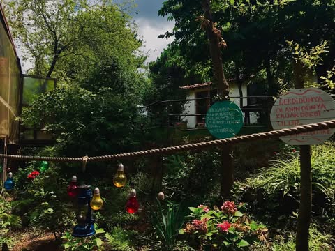 Fotoğrafçılık ve Doğal Güzellikler Fotoğrafçılık ve Doğal Güzellikler