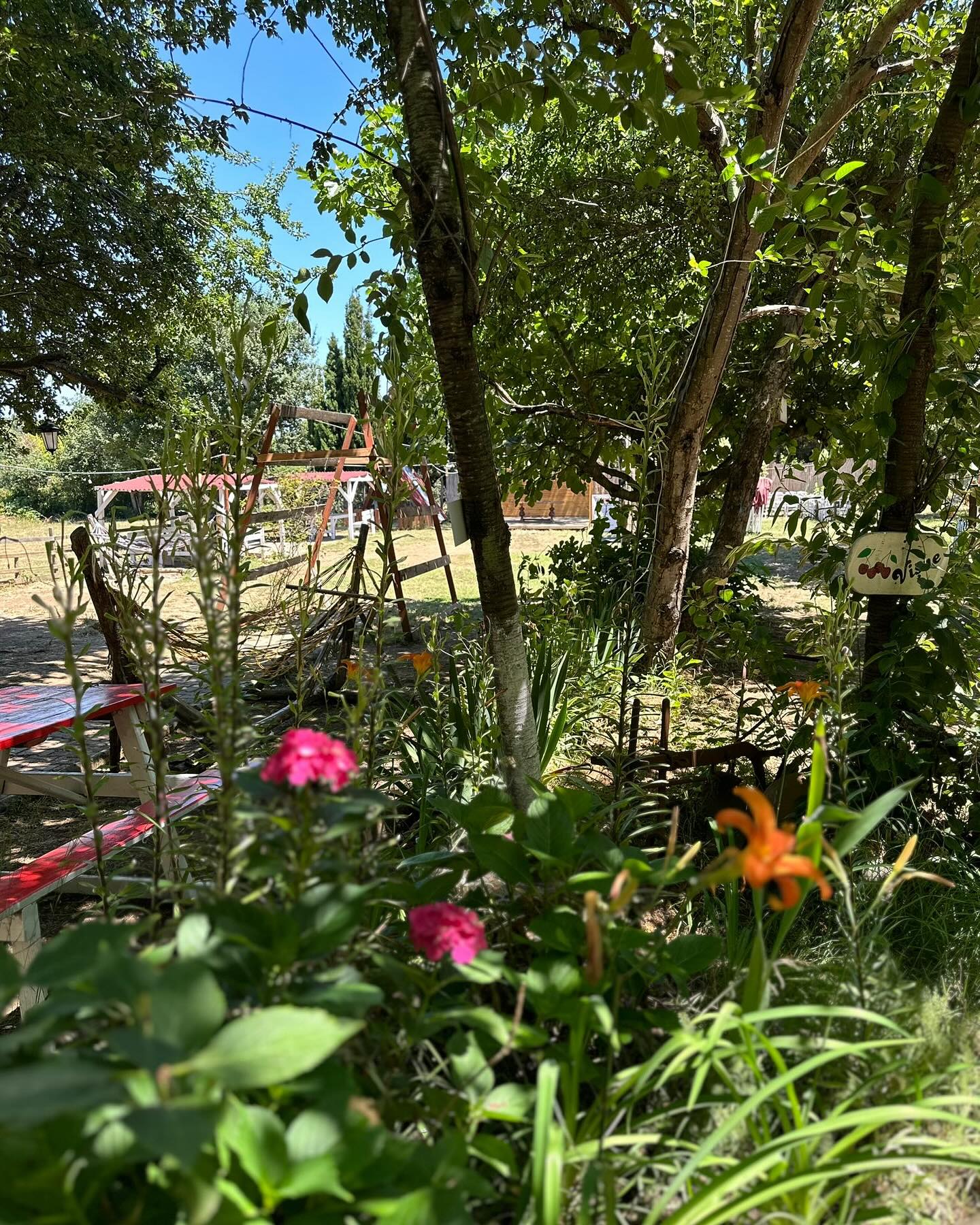 Kuş Gözlemi Kuş Gözlemi