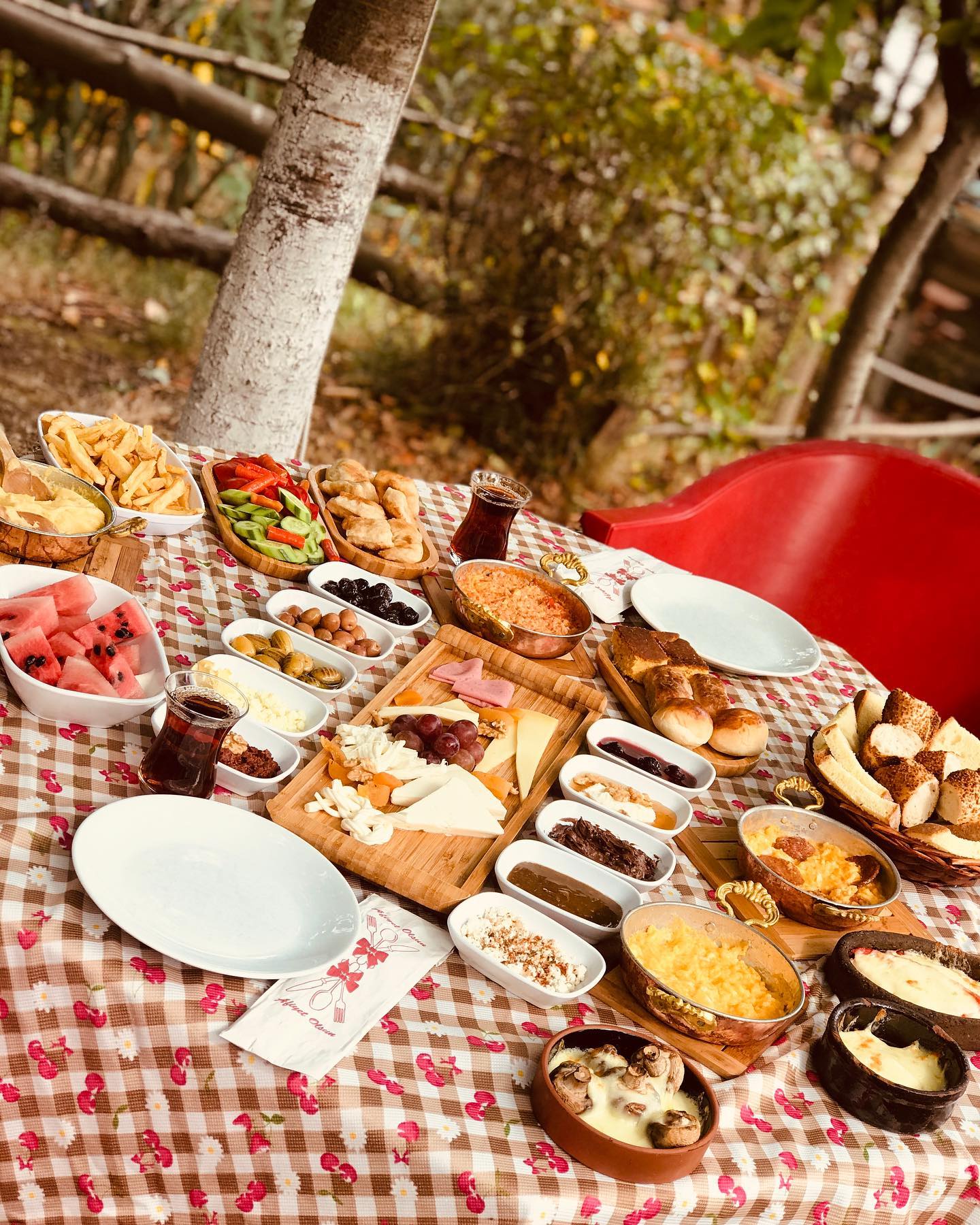 Piknik Keyfi Piknik Keyfi